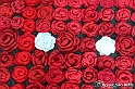 VBS_9685 - Infiorata di Villanova d'Asti 2023